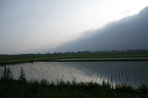 arakawa130518_09.JPG