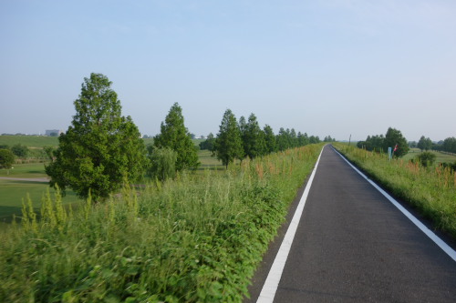 arakawa130518_14.JPG