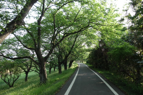arakawa130518_17.JPG