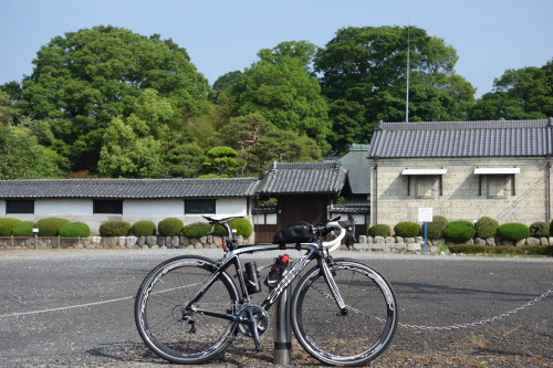 arakawa130518_34.JPG
