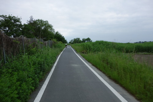arakawa130525_04.JPG