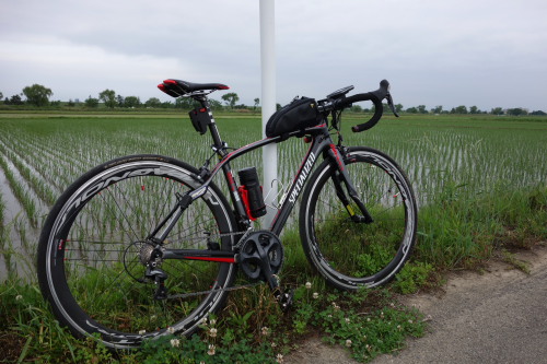 arakawa130525_05.JPG
