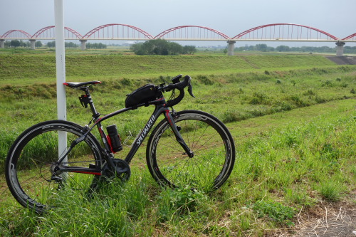 arakawa130525_30.JPG