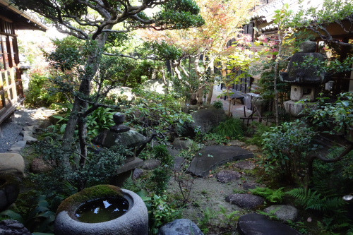 arimatsu141123_35.JPG