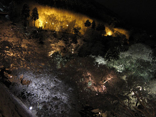 fuyu_kyoto_10.jpg