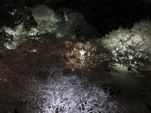 fuyu_kyoto_12.jpg