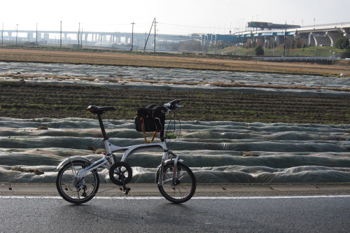 hanshinpota_05.JPG