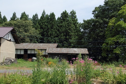 nakaoki1.jpg