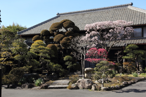 tochigi_sakagura1_17.JPG
