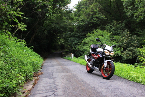 triumph_s3_59.JPG